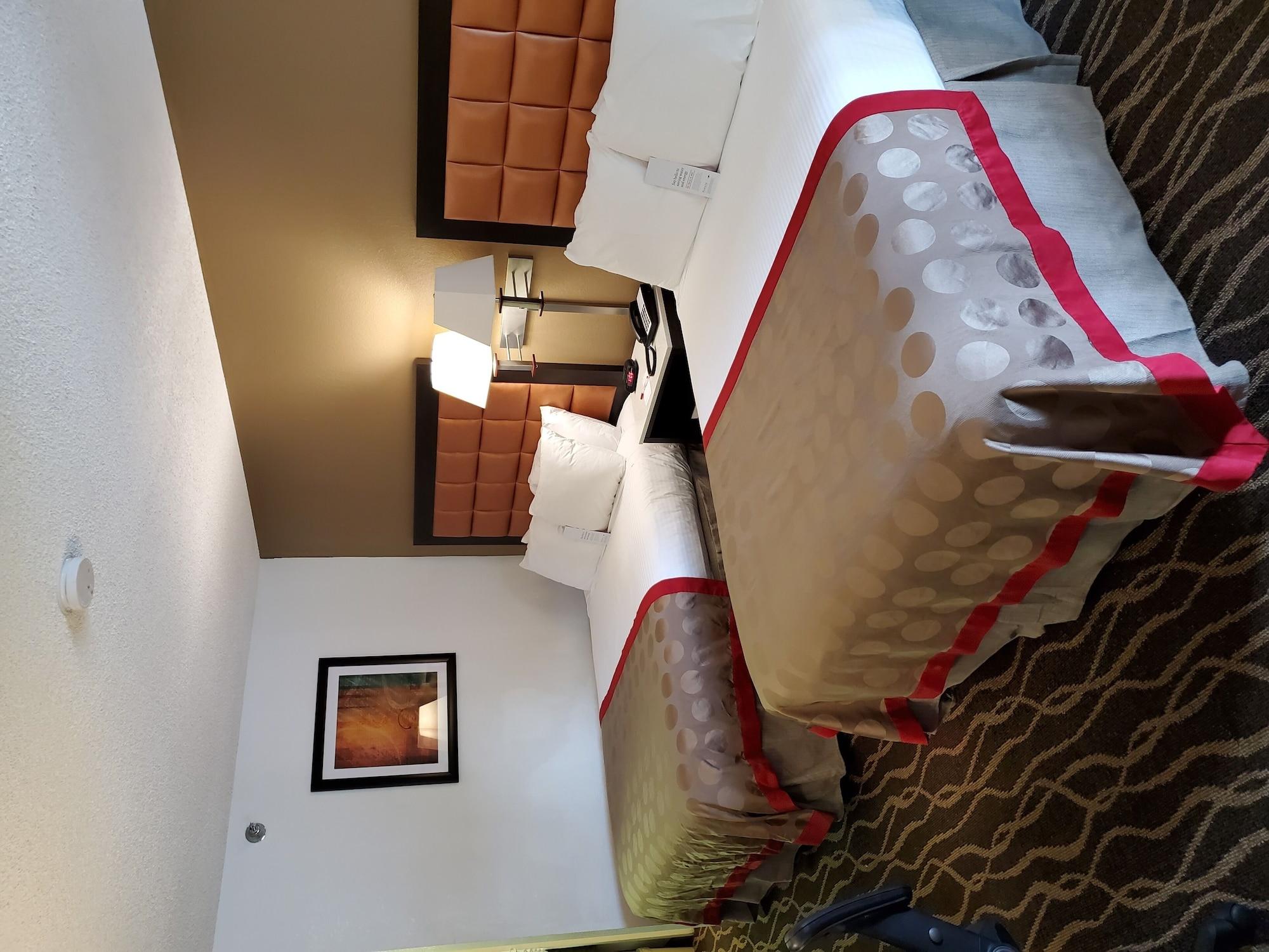 Ramada By Wyndham Temple Terrace/Tampa North Hotel Ngoại thất bức ảnh