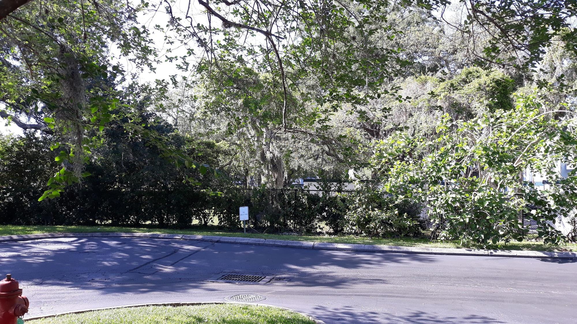 Ramada By Wyndham Temple Terrace/Tampa North Hotel Ngoại thất bức ảnh